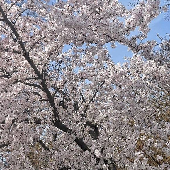 Meet your Posher, Maria - Picture 2 of 2